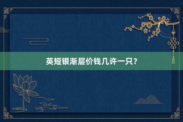英短银渐层价钱几许一只?